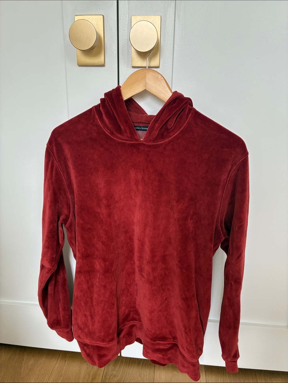 Plush Velour Hoodie in Rust